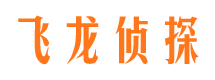 大安市侦探调查公司